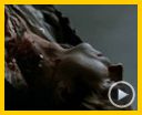 Bilder : The Vampire Diaries Trailer DF