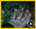 Bilder : Es war einer von uns Trailer