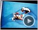 Rocky Balboa Trailer DF
