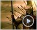 300 Trailer DF