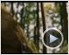 Die Chroniken von Narnia - Prinz Kaspian von Narnia Videoclip DF