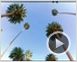 Beverly Hills Chihuahua Teaser DF