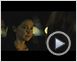 Helen Trailer DF