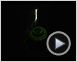 2012 Trailer DF