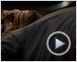 Antichrist Videoclip DF