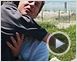 Mit Dir an meiner Seite Trailer OV