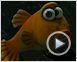 Flutsch und weg Trailer DF