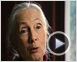 Jane's Journey - Die Lebensreise der Jane Goodall Trailer DF