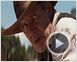 Cowboys & Aliens Trailer DF