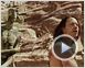 John Carter - Zwischen zwei Welten Trailer DF