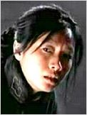 Jinglei Xu