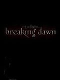Bild zum Film: Twilight 4.2: Breaking Dawn - Bis(s) zum Ende der Nacht (Teil 2)