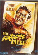 Der Schwarze Falke