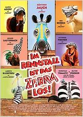 Im Rennstall ist das Zebra los!