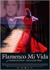 Flamenco Mi Vida