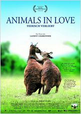 Animals In Love