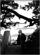Wilde Erdbeeren