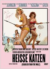 Heiße Katzen