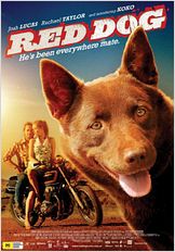 Red Dog