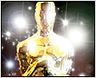 Kein Oscar für "Der Baader-Meinhof Komplex" !