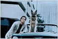 Defenders: James Belushi in Anwaltsserie