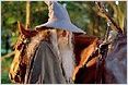 Hobbit-Filme: Drei "HdR"-Stars sind wieder dabei