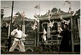 Ip Man: Trailer zum Action-Kracher mit Donnie Yen