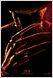 A Nightmare On Elm Street: Erster Teaser zum Remake des Horror-Films
