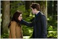 Twilight 2: Karten für "New Moon" bereits ausverkauft