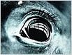 The Ring 3: 3D-Horrorsequel in Planung