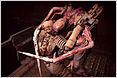 Dead Space: Horror-Game von EA kommt ins Kino