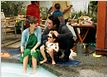 Gulliver's Travels: Amanda Peet spielt neben Jack Black in Fantasy-Klassiker