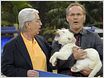 TV-Quoten: Frank Elstners Tier-Quiz lag vor RTL-Actionserie