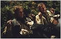 Terry Gilliam: Bricht wegen Heath Ledgers Tod Dreharbeiten endgültig ab