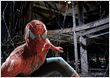 Spider-Man 4: Sam Raimi defintiv dabei