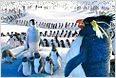 US-Charts: "Casino Royale" von "Happy Feet"-Pinguinen abgekocht