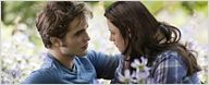 "Twilight 4"-Regisseur gesucht: Coppola, Condon und Van Sant im Gespräch