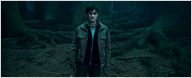Deutsche Charts: "Harry Potter" zaubert sich an die Spitze