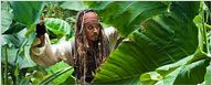 "Pirates Of The Caribbean 5": Das Drehbuch steht, aber Johnny Depp will (noch) nicht