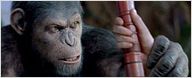 "Planet der Affen"-Fortsetzung: Andy Serkis unterschreibt für mindestens ein Sequel
