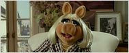 "Die Muppets": Zweiter deutscher Trailer zum Puppenspaß um Kermit und Co.