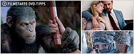 DVD-Tipps der Woche (4. bis 10. Dezember)