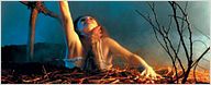 Lily Collins raus aus "Tanz der Teufel"-Remake