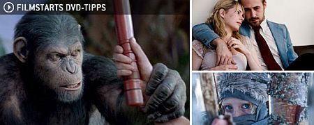 DVD-Tipps der Woche (4. bis 10. Dezember)