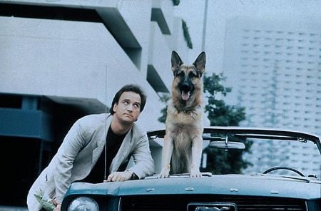 Defenders%3a+James+Belushi+in+Anwaltsserie