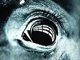 The+Ring+3%3a+3D-Horrorsequel+in+Planung