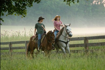 US-Charts%3a+%22Hannah+Montana%22+an+der+Spitze+vor+%22Fast+