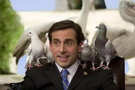 Steve+Carell%3a+Behauptet+aus+Solidarit%c3%a4t+mit+streikenden+Autoren+seine+%22Hoden+seien+geschwollen%22