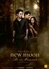 Bild zum Film : New Moon - Biss zur Mittagsstunde