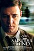 A Beautiful Mind - Genie und Wahnsinn (DVD)